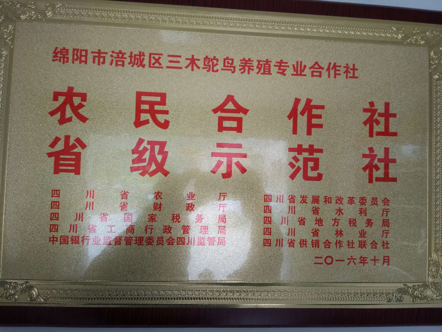 四川省级示范社